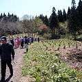 檜山の森づくり植樹祭