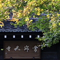 2011_秋_京都