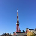 東京都（7-12月）