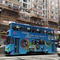 香港電車Archive 11
