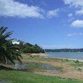 2008ニュージーランド　ベイオブアイランド パイヒア