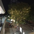 2015東京 夜の東京ドームシティ