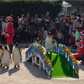 20171223 長崎ペンギン水族館
