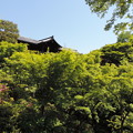 平成30年GW　東福寺の新緑