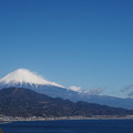 富士山2019