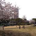 群馬3つの桜名所を巡るバスツアー