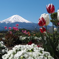 190508 富士山一周！