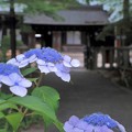 2023 6月の吉備津彦神社