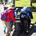 240321　森の案内人と歩く　春の妖精とスミレ探訪　高尾山ハイキング　日帰り