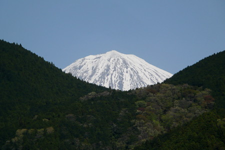 盆中の富士