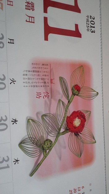 ウチのカレンダー花言葉書いてあるヤツなんだけど 侘助って花あるん 写真共有サイト フォト蔵