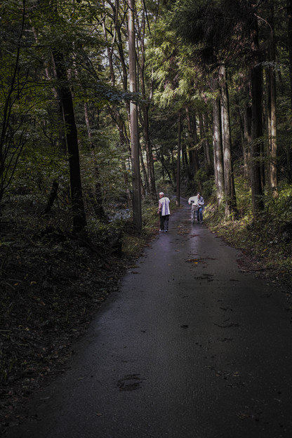 山寺から坂を下る@秩父霊場巡礼の旅2013