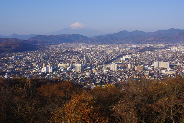 権現山展望台から秦野駅と富士山