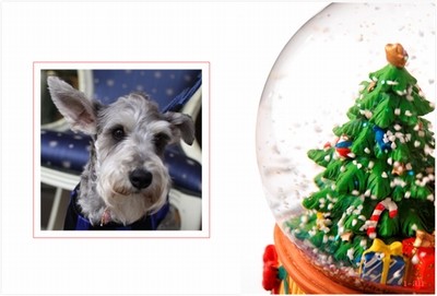 クリスマスカード 無料素材 ダウンロード 冬 フォトフレーム 写真テンプレート スノードーム 犬 猫 ペットアクセサリー I An 無料テンプレートとハンドメイド雑貨 I An
