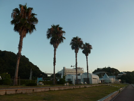 しまなみ海道2013 064