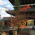 2020年紅葉in京都